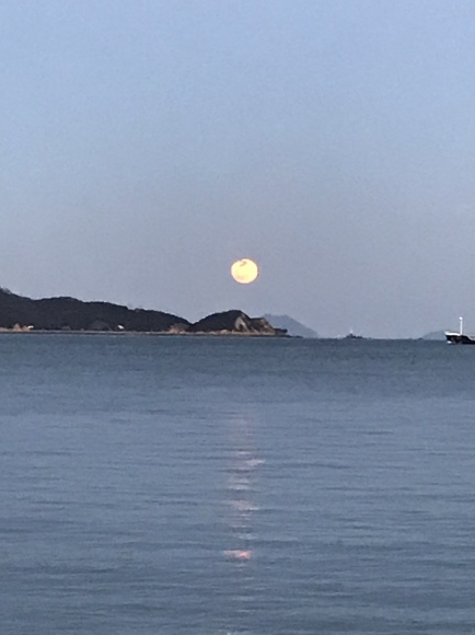 b0325627_17525293.jpeg