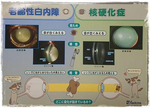 d0179828_07284850.png