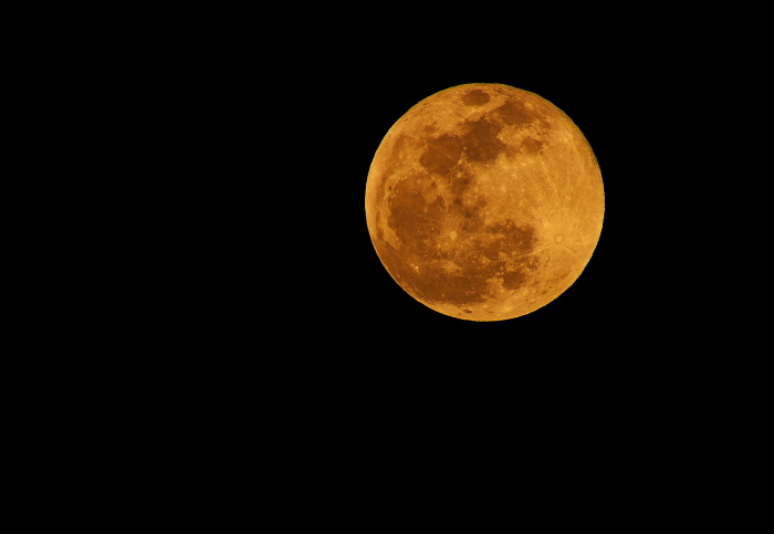 c0309734_21571847.jpg