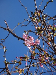 c0147935_16134424.jpg
