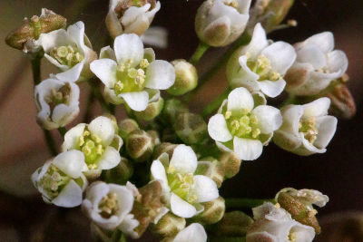 f0182936_02032360.jpg