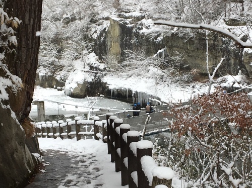 b0330040_14554091.jpeg