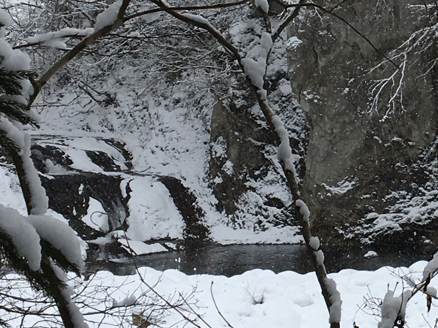 b0330040_15075377.jpeg