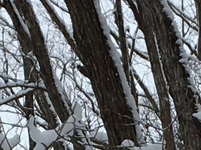 b0330040_16194430.jpeg