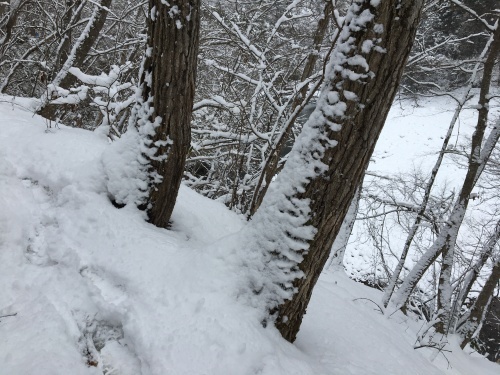 b0330040_16245972.jpeg