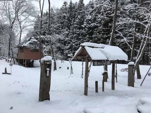 b0330040_16260100.jpeg
