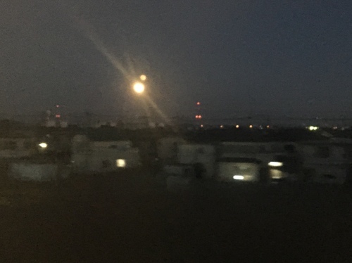 b0330040_17332107.jpeg