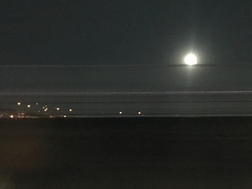 b0330040_19481143.jpeg
