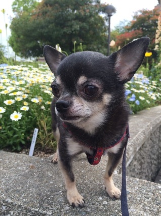 c0232344_23222161.jpeg