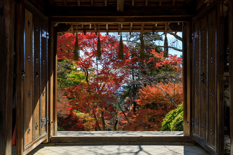 京の紅葉2018　毘沙門堂と山科聖天_f0155048_0212429.jpg