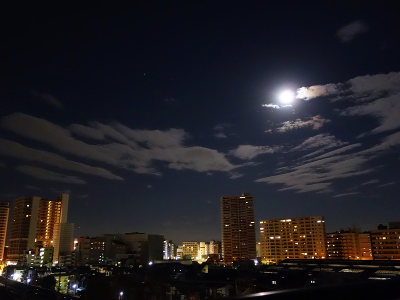 f0291154_124831.jpg