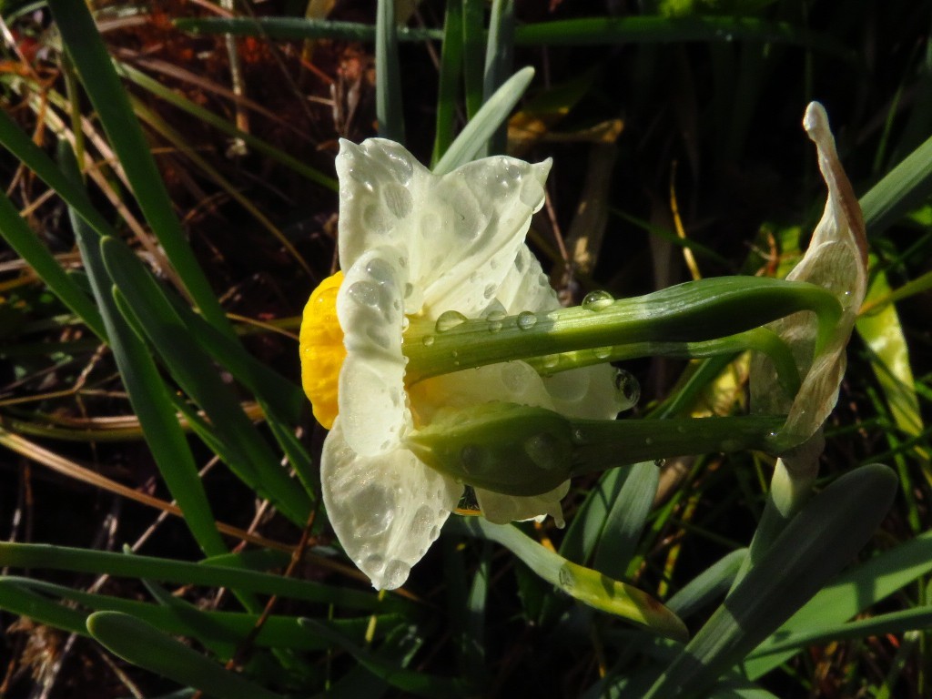 a0018655_09454440.jpg