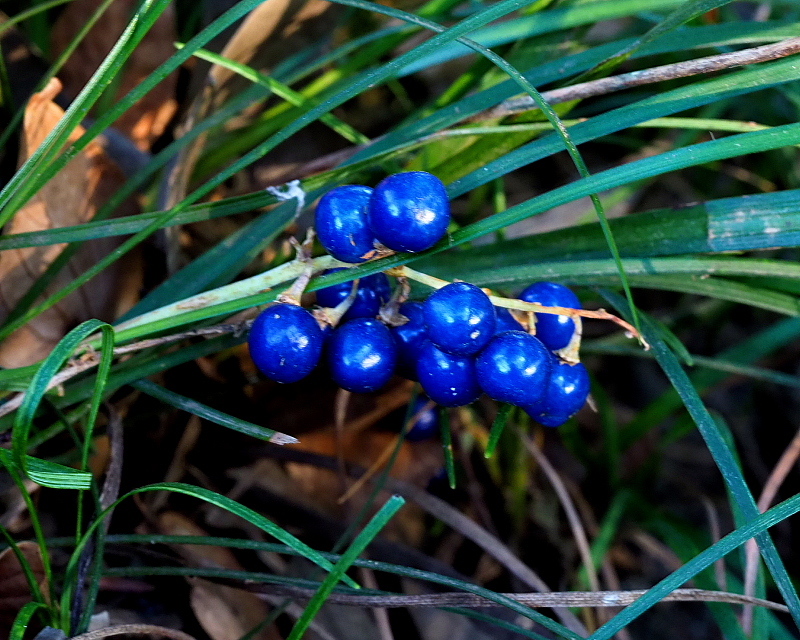 c0305565_17384842.jpg
