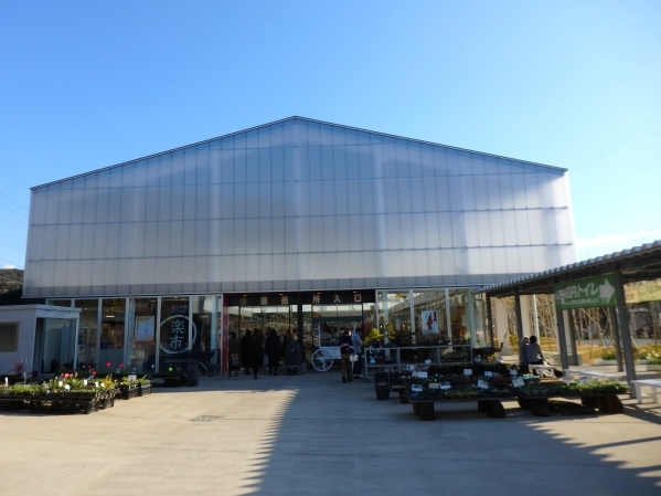 d0370681_20451948.jpg