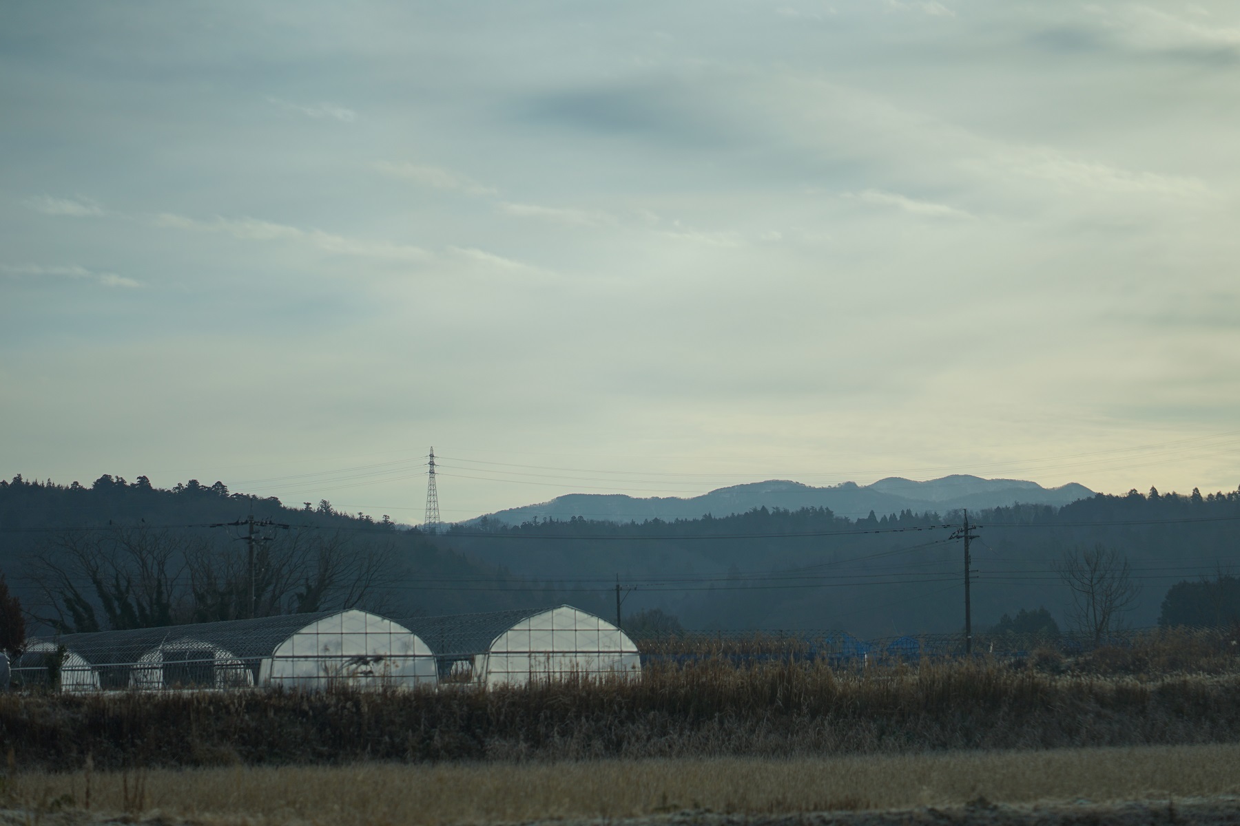 d0234293_17515884.jpg
