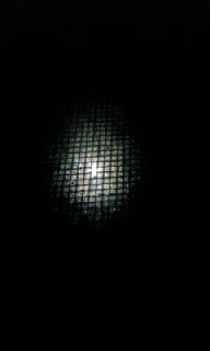 c0189894_20181994.jpg