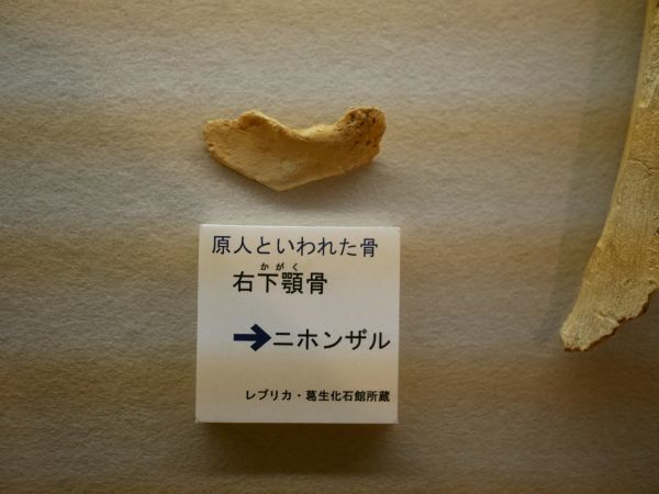 c0164709_08111042.jpg