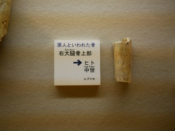 c0164709_08111677.jpg