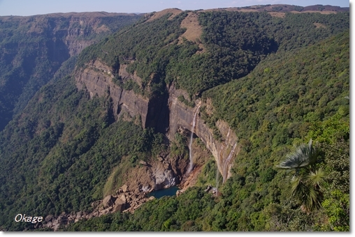 a0145010_12594580.jpg
