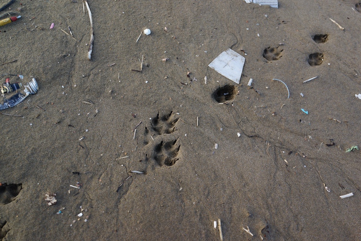 ぶらりとカメラを片手に。時間が空きましたので毎度の海です。_b0392811_15544867.jpg