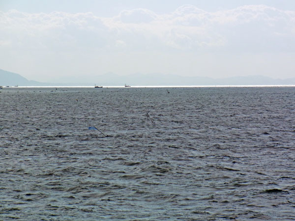 e0083517_05535943.jpg