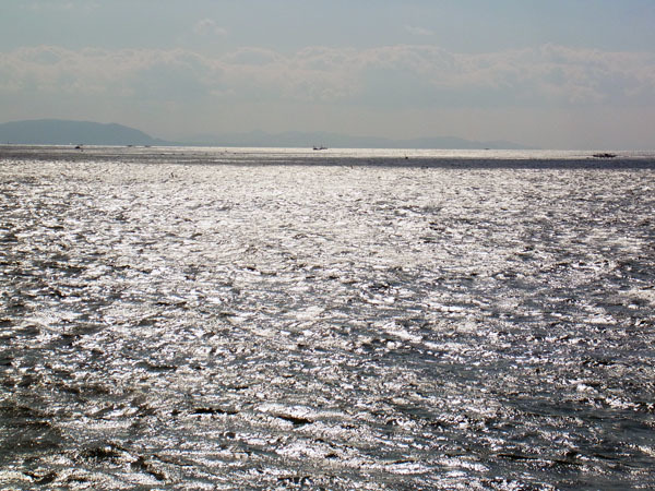 e0083517_05540818.jpg