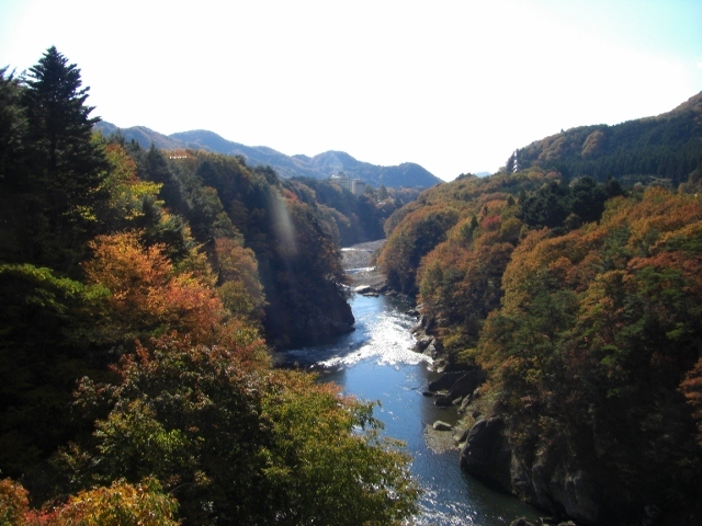 c0074721_16390449.jpg