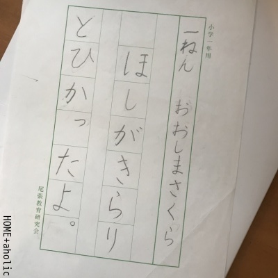 ■迷わず買ったダイソー高額商品。_d0350221_07530365.jpg