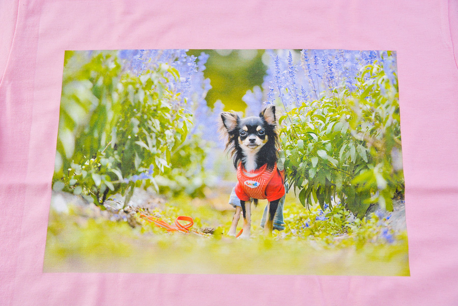 みるくちゃんTシャツとポロシャツ_d0102523_1217780.jpg