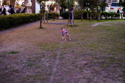 b0310424_13343217.jpg
