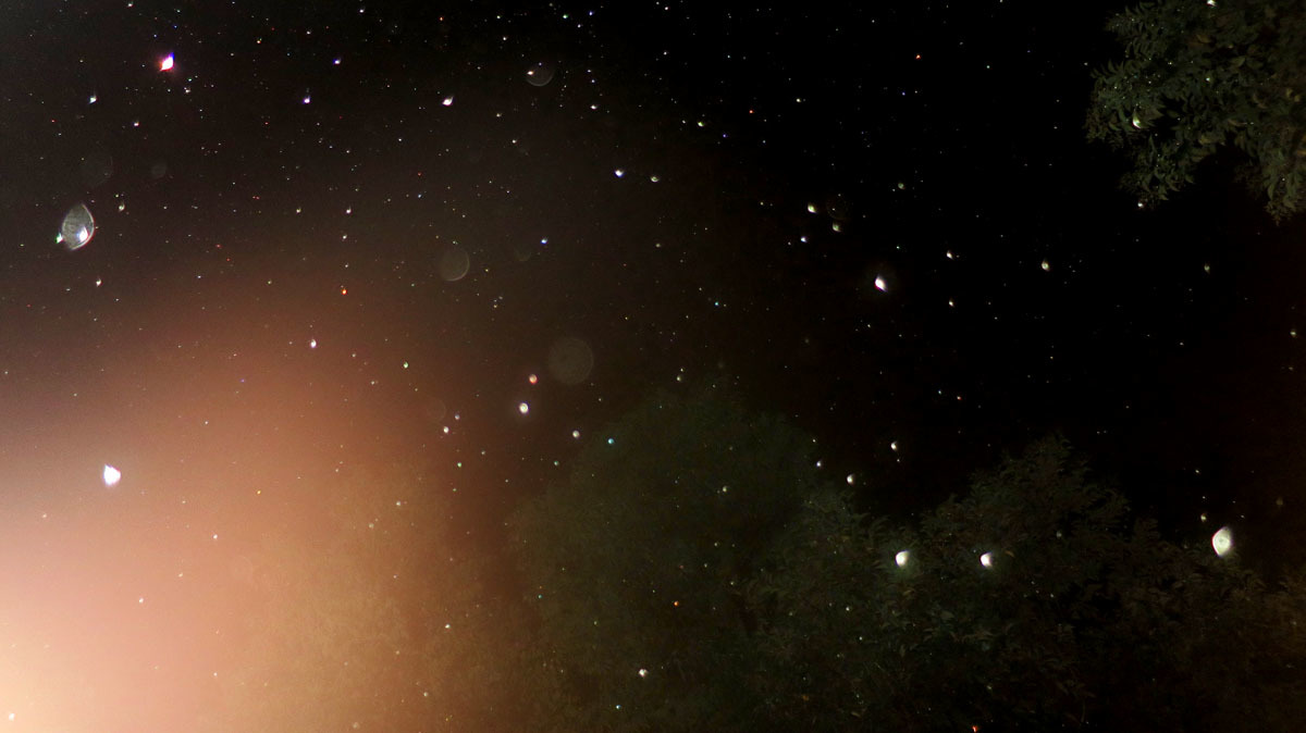 c0331825_12320895.jpg