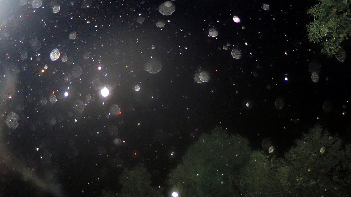 c0331825_12453027.jpg