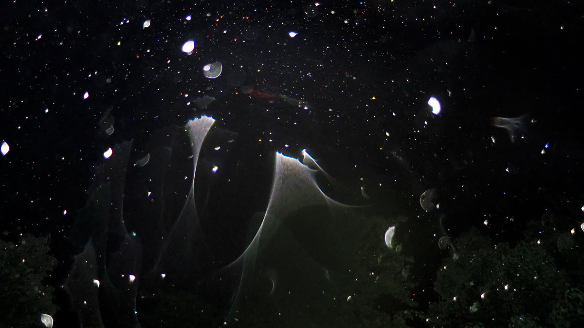 c0331825_12474249.jpg