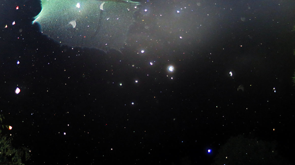 c0331825_12510582.jpg