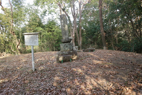 e0272335_1793478.jpg
