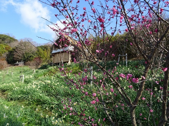 b0299042_17512491.jpg