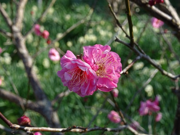 b0299042_17514659.jpg