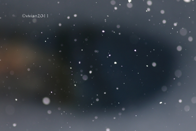 日光 雪景色を撮りに ~湯西川~_e0227942_22152465.jpg