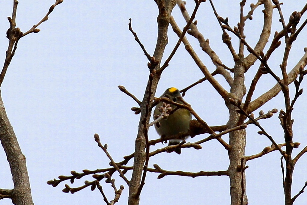 a0185545_21373760.jpg