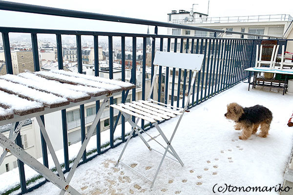 パリに雪が降りました_c0024345_21294912.jpg