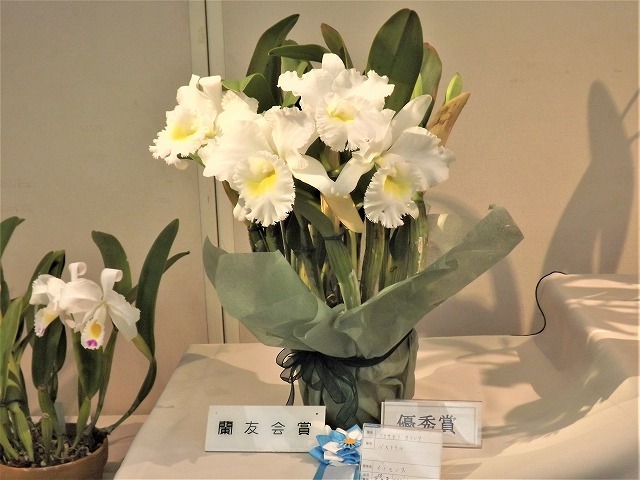a0112751_11500126.jpg