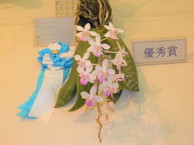 a0112751_11551731.jpg