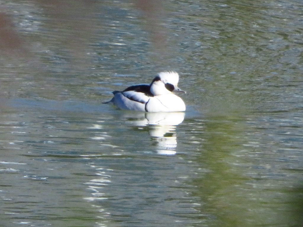 a0018655_09485316.jpg