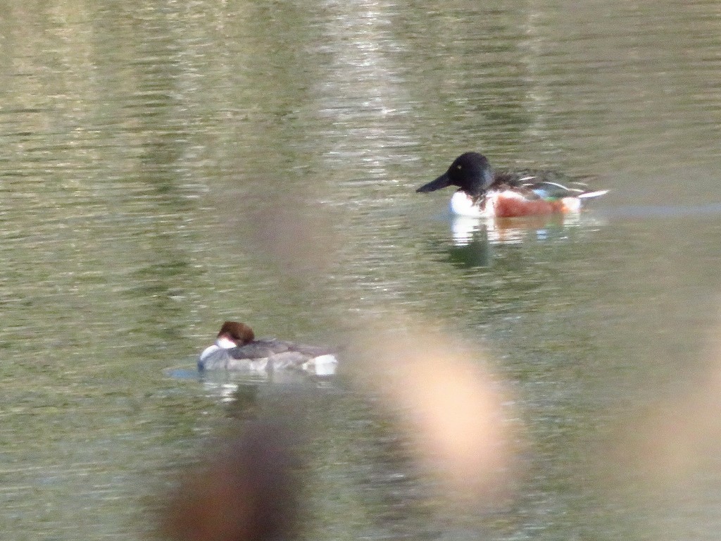 a0018655_09510302.jpg
