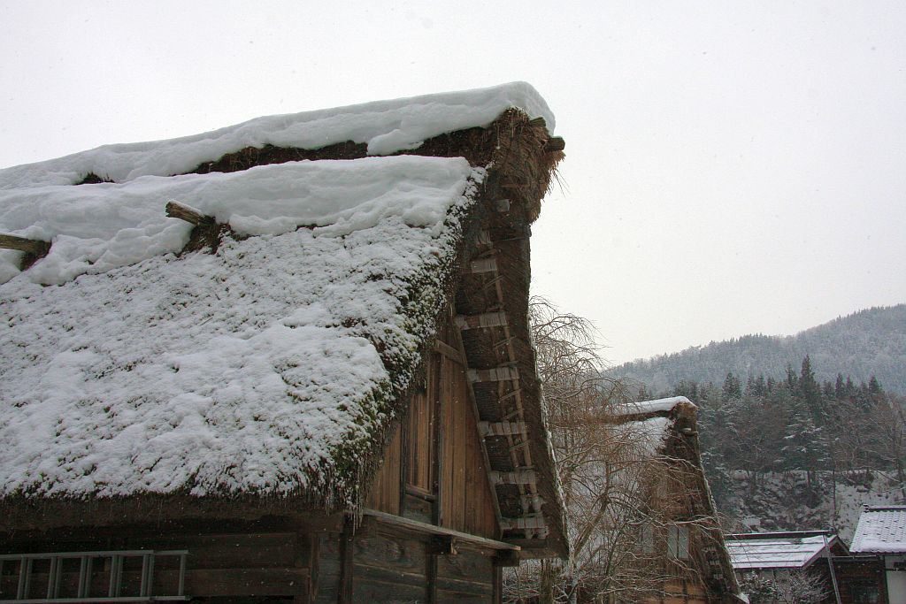 料亭旅館「八ツ三館」と冬の白川郷　その六_e0220163_17365499.jpg