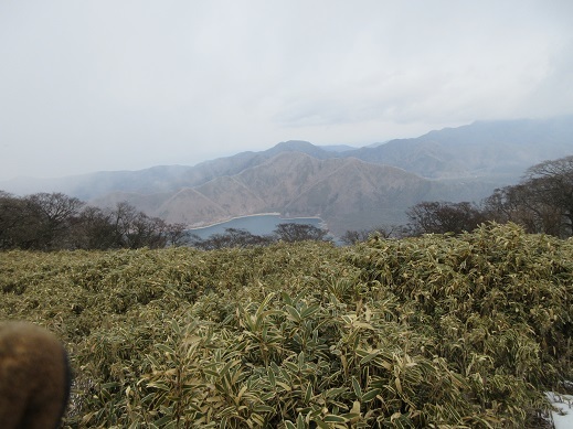 富士の絶景ポイント竜ヶ岳…のはずが_c0273271_15253227.jpg