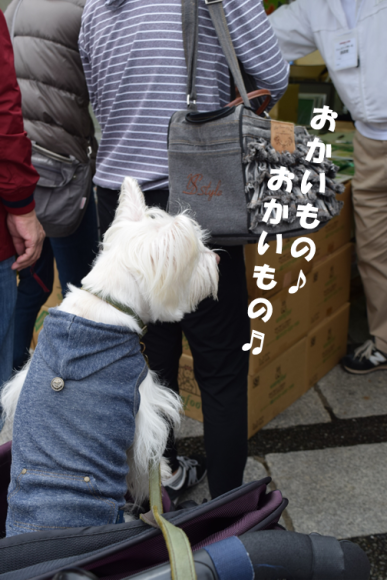 b0242873_00134502.png
