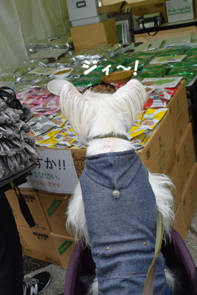 b0242873_00145134.png
