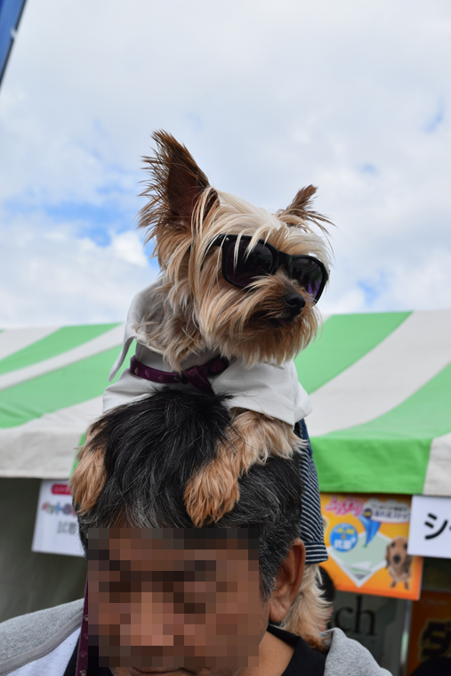 b0242873_00154537.png