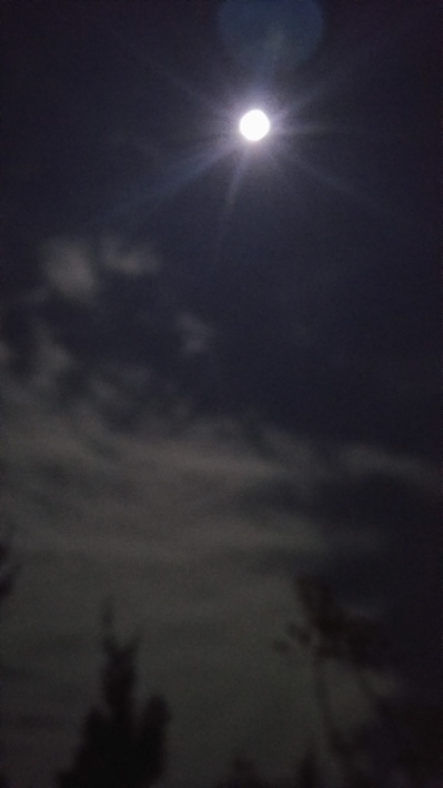 神戸から、今夜は満月・銀色の月あかりの中で揺れてみる_a0098174_09012371.jpg